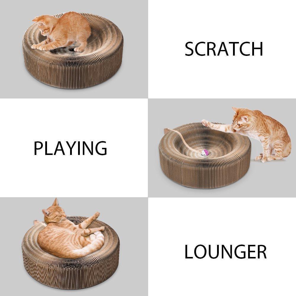 Fauteuil Lighteme Cat