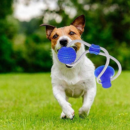 Lighteme Multifunction Pet Molar Toy (3 colors)