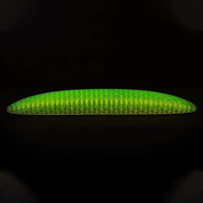 Lighteme Big Worm Fidget Toy