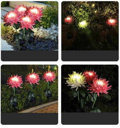 Lighteme Chrysanthemum Solar-Gartenstecker LED