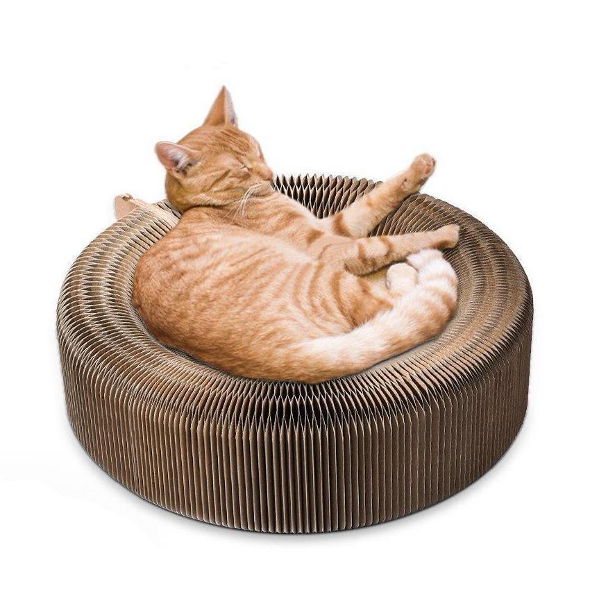 Fauteuil Lighteme Cat