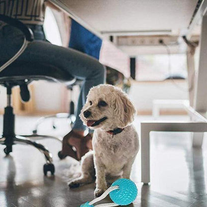Lighteme Multifunction Pet Molar Toy (3 colors)