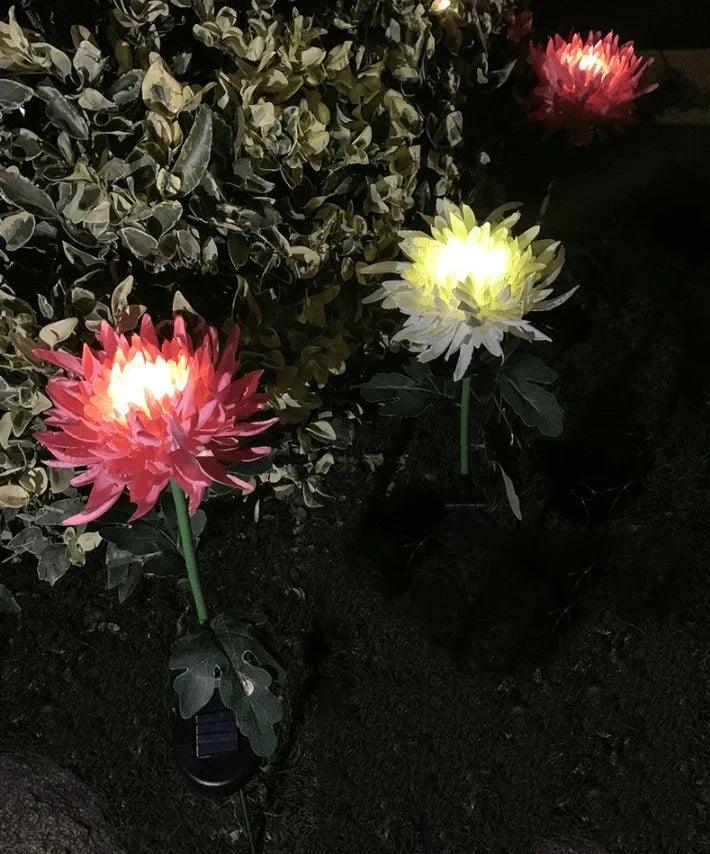 Lighteme Chrysanthemum Solar-Gartenstecker LED