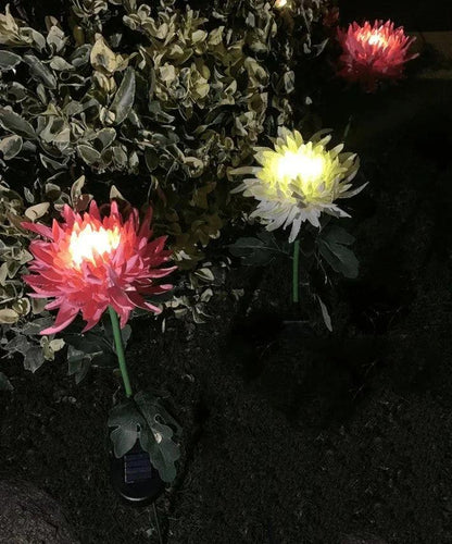 Lighteme Chrysanthemum Solar-Gartenstecker LED