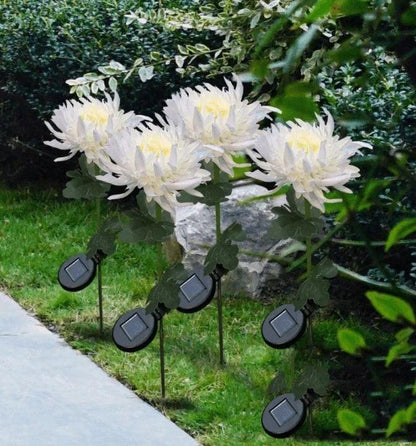 Lighteme Chrysanthemum Solar-Gartenstecker LED