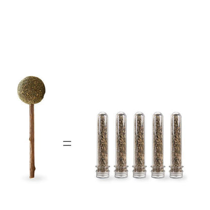 Lighteme Actinidia Polygama Lolipop Molar Teeth Supplies (4 Types)
