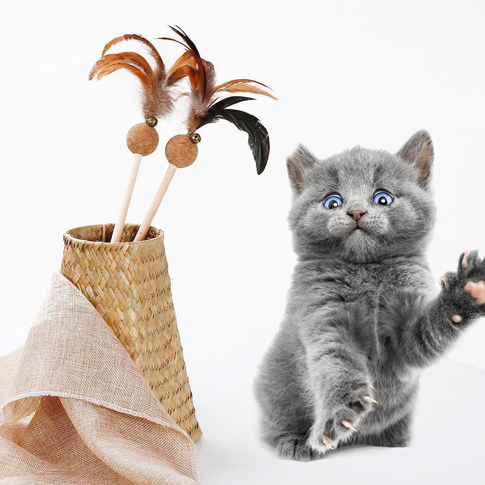 Lighteme Bell Feather Cat Teaser Toy