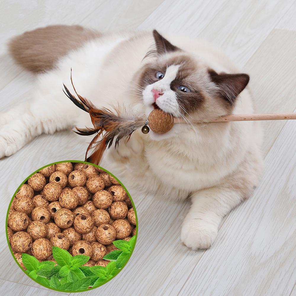 Lighteme Bell Feather Cat Teaser Toy