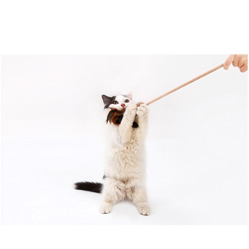 Lighteme Bell Feather Cat Teaser Toy