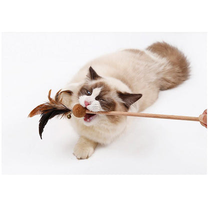 Lighteme Bell Feather Cat Teaser Toy