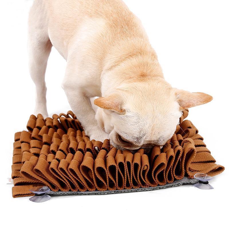Jouet intelligent pour chien Lighteme résistant aux morsures (4 couleurs)