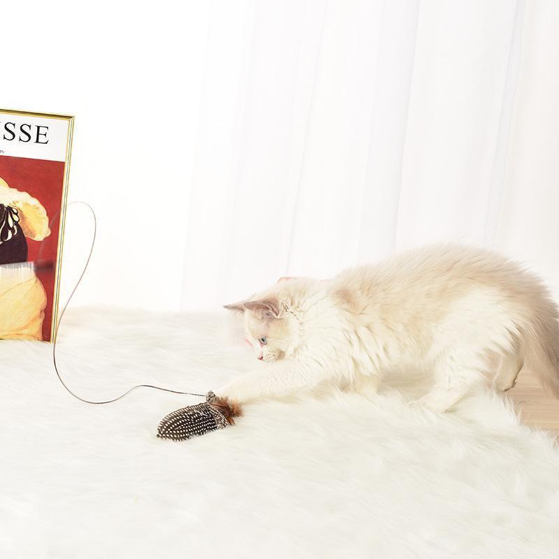 Jouet d'entraînement amusant pour chat Lighteme Bling (2 couleurs)