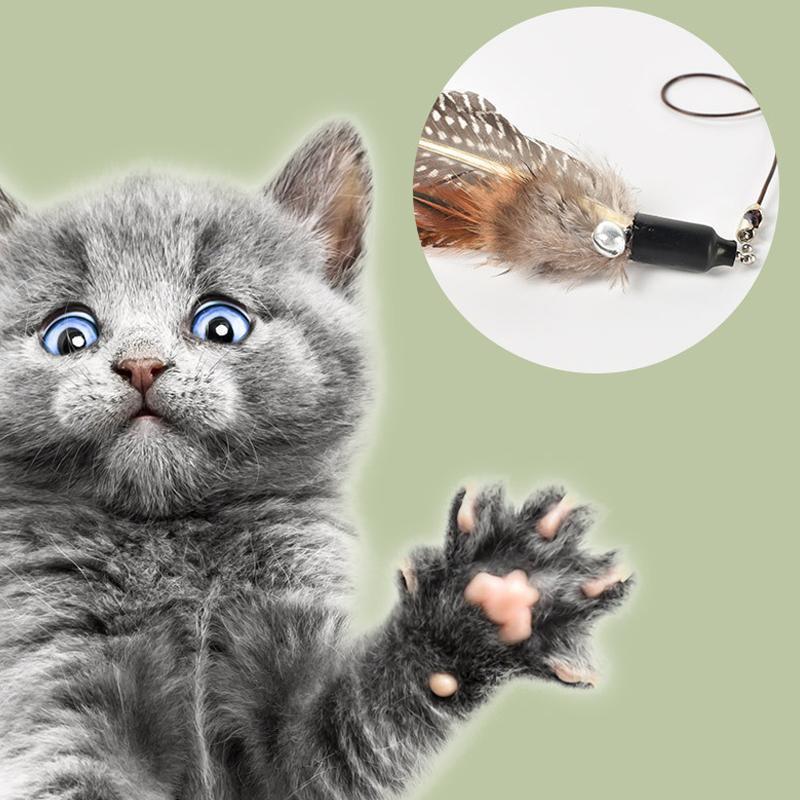 Jouet d'entraînement amusant pour chat Lighteme Bling (2 couleurs)