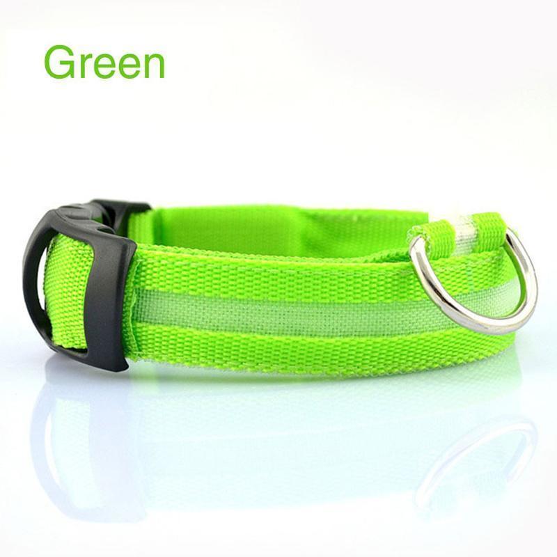 Lighteme Button Battery Luminescent Dog Collar (5 colors & 5 sizes)
