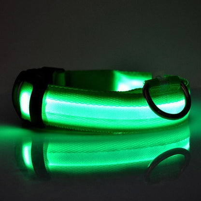 Lighteme Button Battery Luminescent Dog Collar (5 colors & 5 sizes)