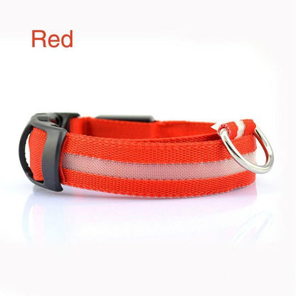 Lighteme Button Battery Luminescent Dog Collar (5 colors & 5 sizes)