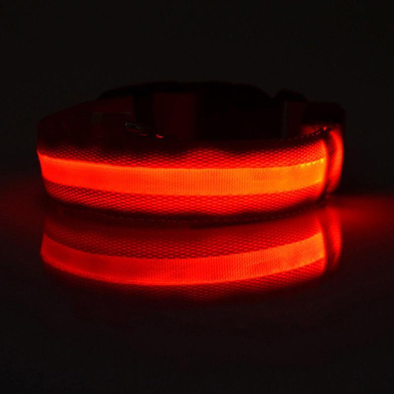 Lighteme Button Battery Luminescent Dog Collar (5 colors & 5 sizes)