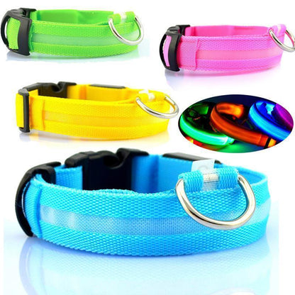 Lighteme Button Battery Luminescent Dog Collar (5 colors & 5 sizes)