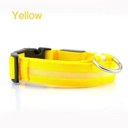 Lighteme Button Battery Luminescent Dog Collar (5 colors & 5 sizes)