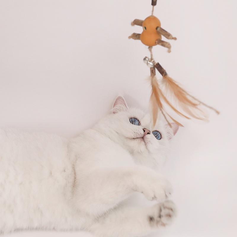 Lighteme Crude Wood Interactive Cat Tease Stick (6 Types)