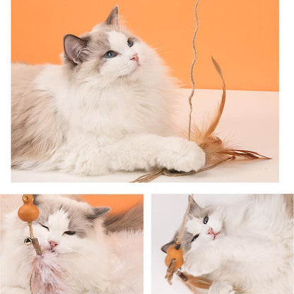 Lighteme Crude Wood Interactive Cat Tease Stick (6 Types)