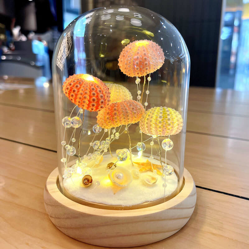 Veilleuse oursin DIY Lighteme