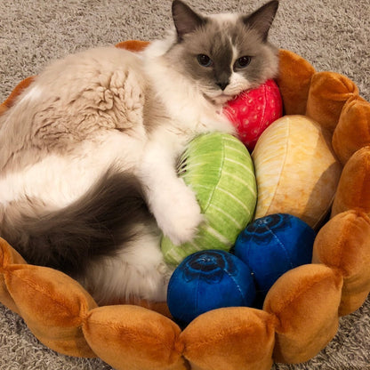 Lit tarte aux fruits Lighteme pour chat