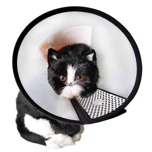 Lighteme Hunde- und Katzenschutz-Halsband (7 Ausführungen)