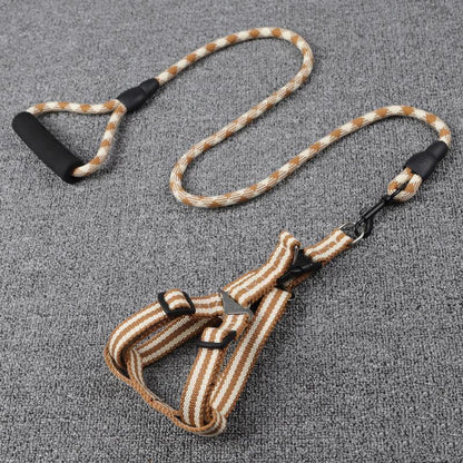 Lighteme Dog Leash With Foam Handle