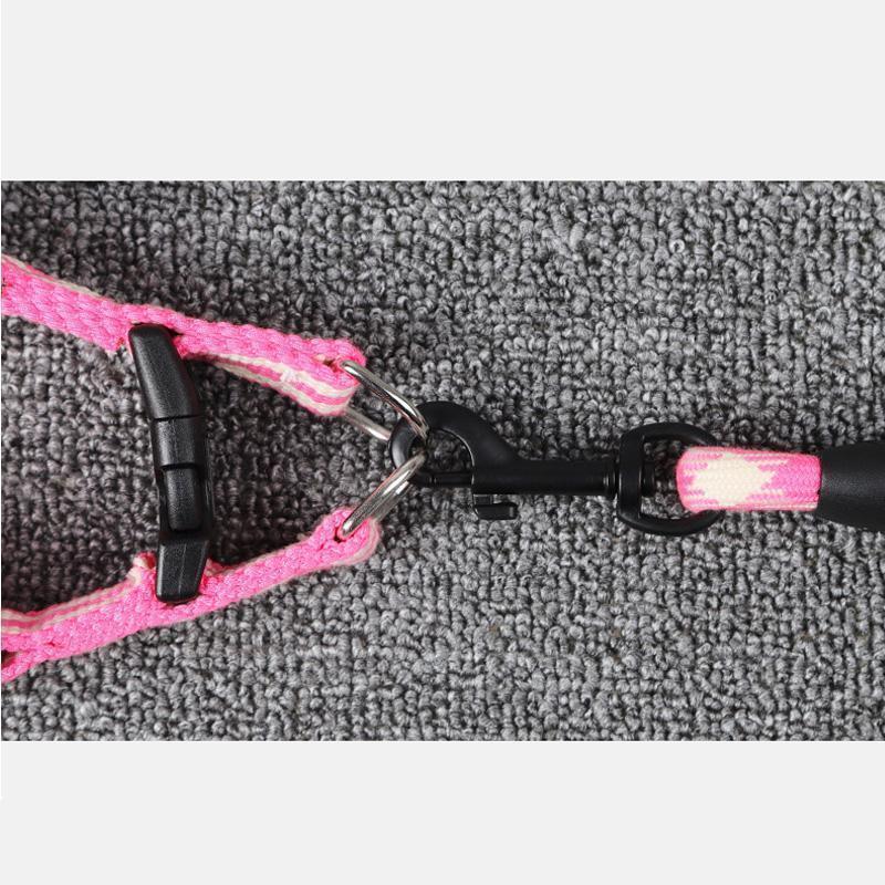 Lighteme Dog Leash With Foam Handle