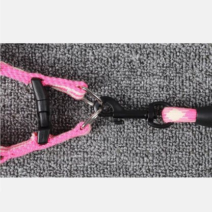 Lighteme Dog Leash With Foam Handle