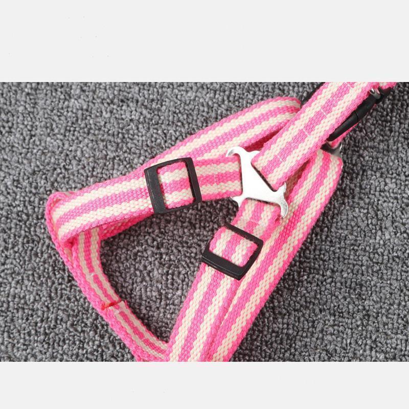 Lighteme Dog Leash With Foam Handle