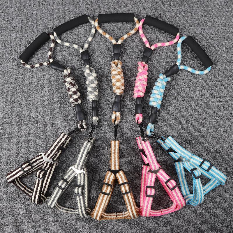 Lighteme Dog Leash With Foam Handle