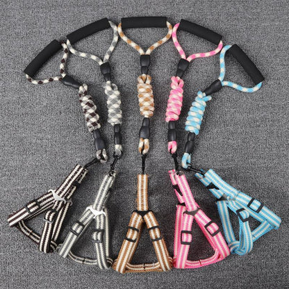 Lighteme Dog Leash With Foam Handle