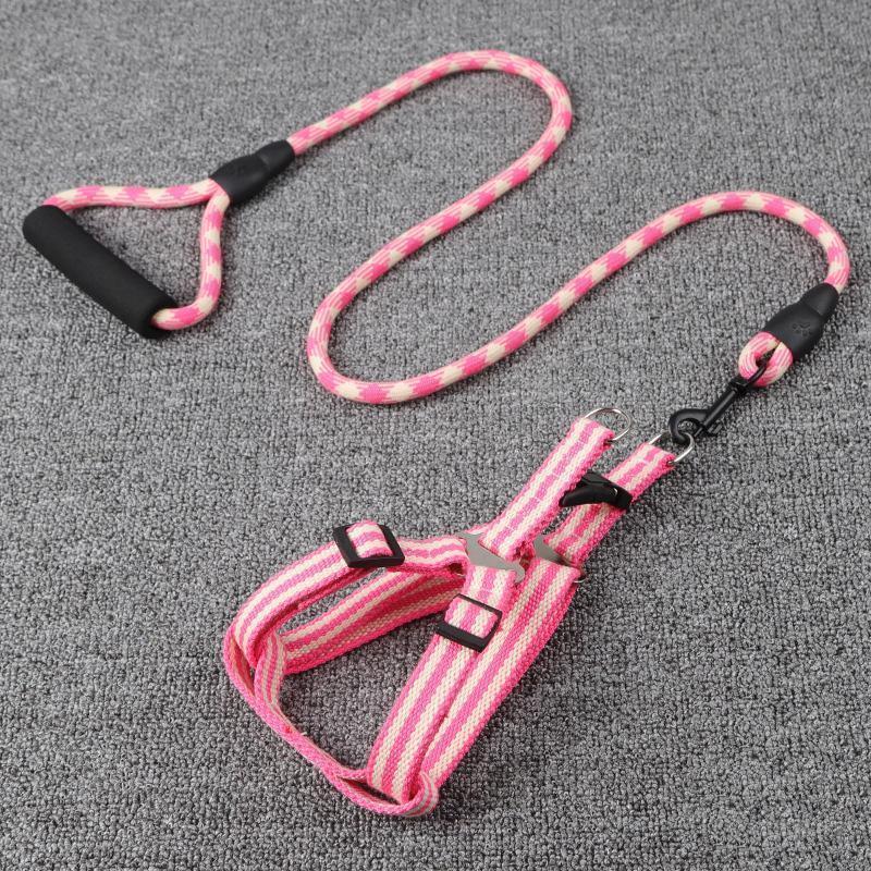 Lighteme Dog Leash With Foam Handle
