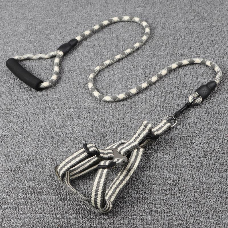 Lighteme Dog Leash With Foam Handle