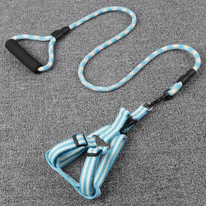 Lighteme Dog Leash With Foam Handle