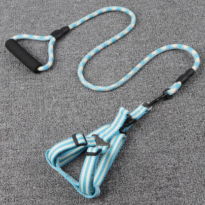 Lighteme Dog Leash With Foam Handle