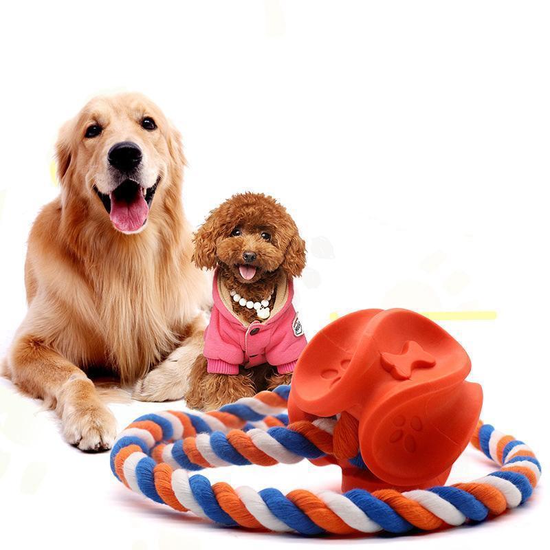 Lighteme Dog Rubber Rope Molar Clean Chew Toy (2 colors & 2 sizes)