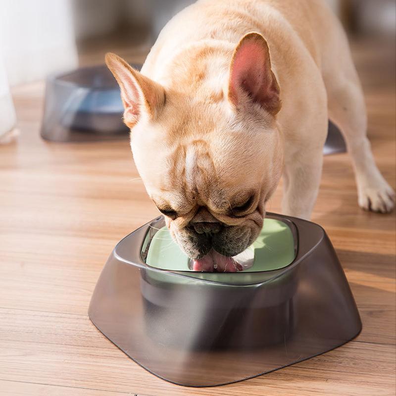 Lighteme Dog's Feeding Watering Bowl Prevent Splashing (3 colors)