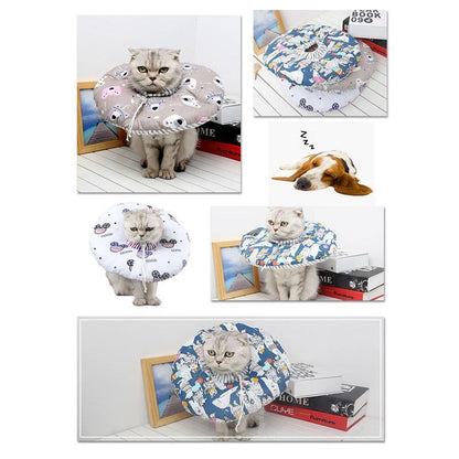 Lighteme Elizabeth Circle Cat Anti-bite Collar (3 colors)