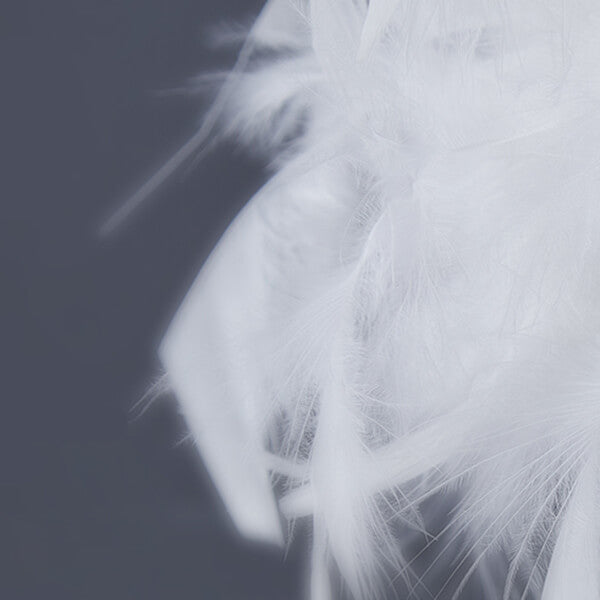 Lampe de table Lighteme Feather