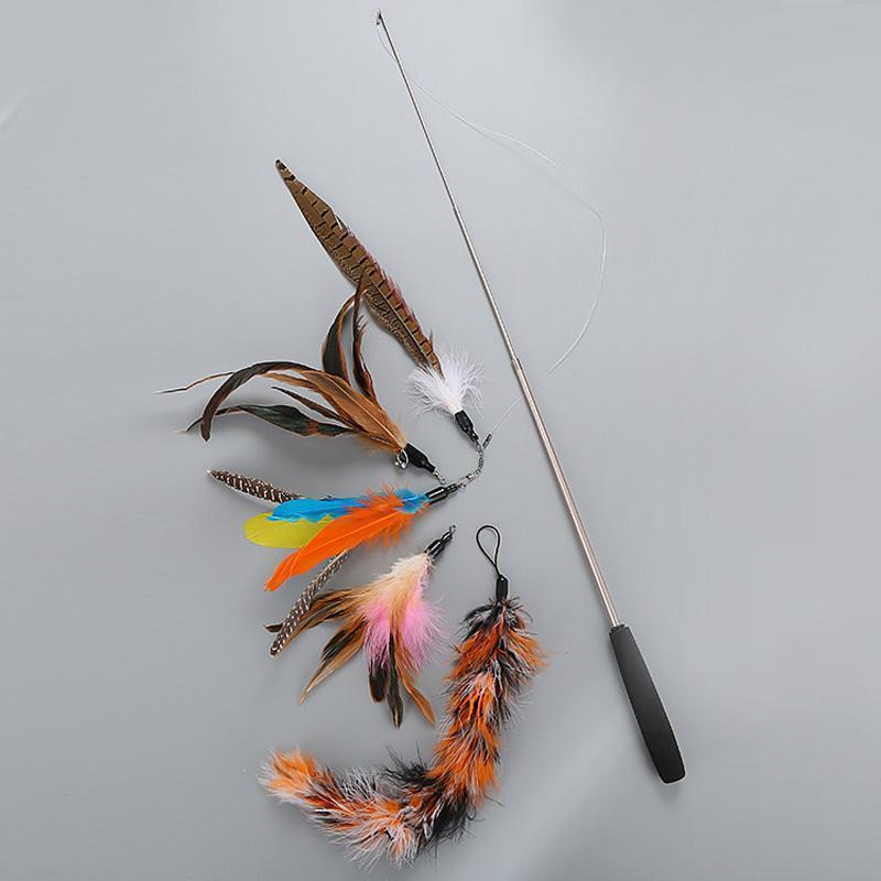 Lighteme Fishing Pole Feathers Cat Teaser Toy Set