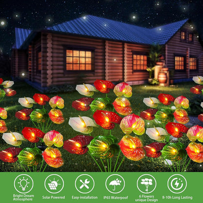 Lot de 2 lampes solaires pour plantes Lighteme - 16 fleurs