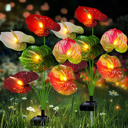 Lot de 2 lampes solaires pour plantes Lighteme - 16 fleurs