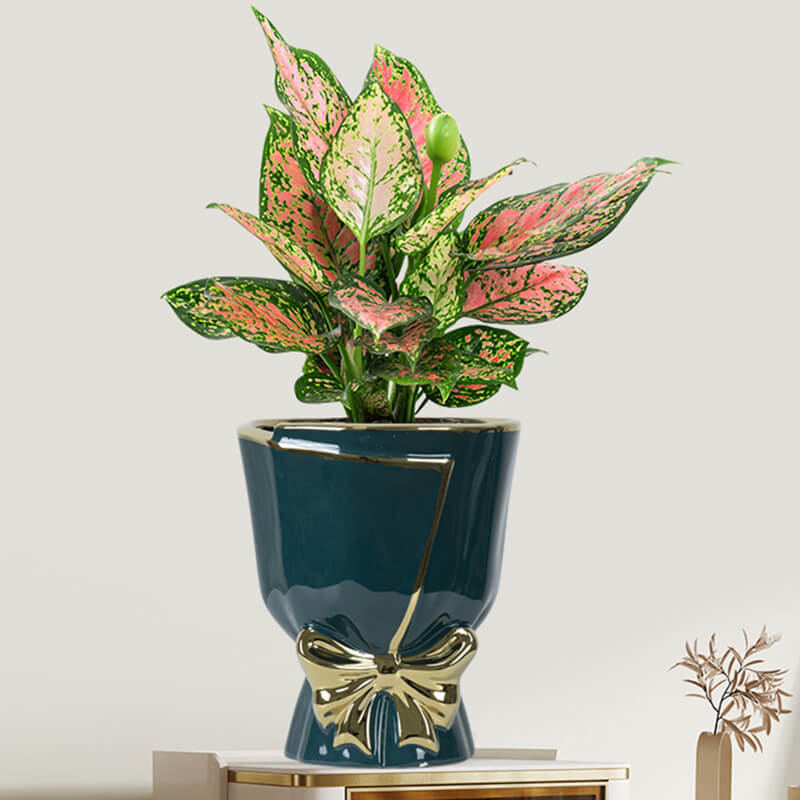 Lighteme Gold Edge Bow Ceramic Vase