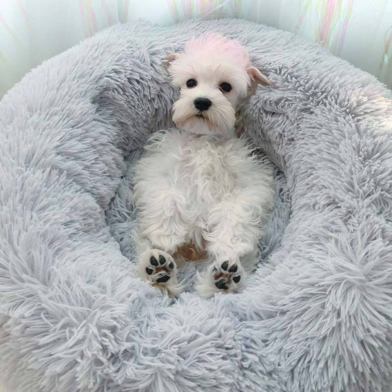 Lighteme Comfy Calming Dog/Cat Bed (8 colors & 8 sizes)