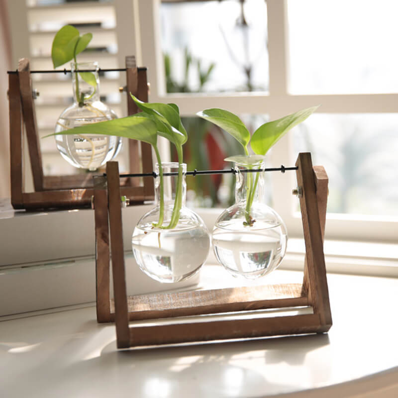 Lighteme Hydroponic Plant Glass Vase