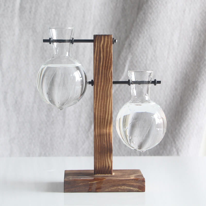 Lighteme Hydroponic Plant Glass Vase