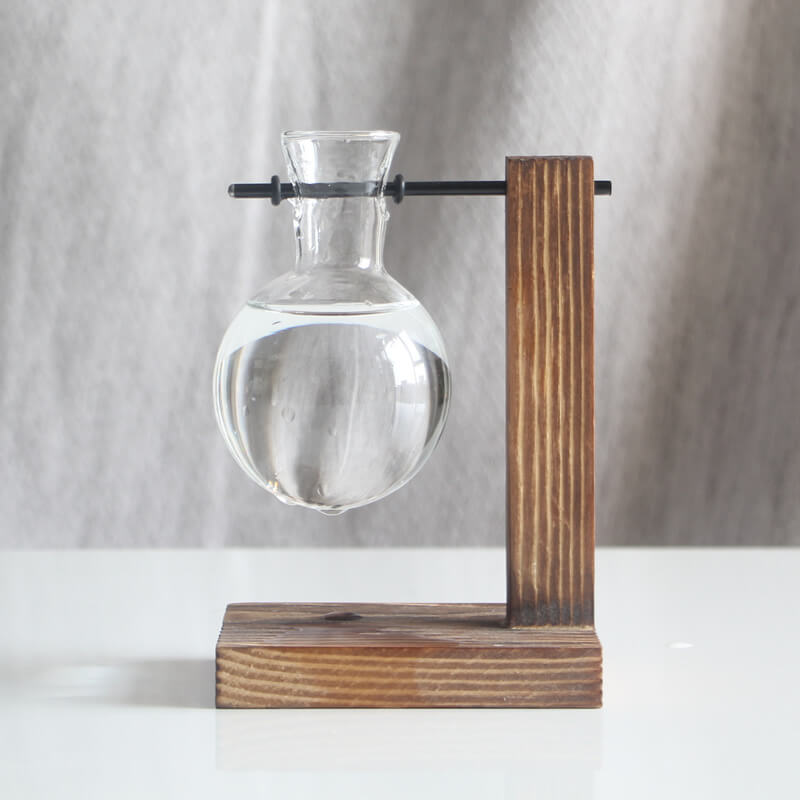 Lighteme Hydroponic Plant Glass Vase